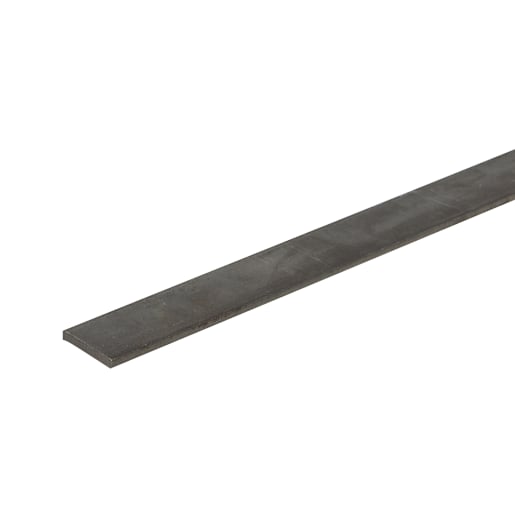 Steel Strip 1 in. x 48 in.