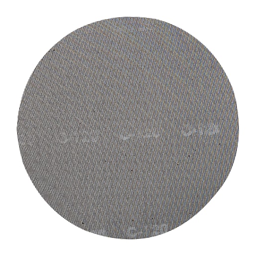 Disque moustiquaire Finitec grain 120