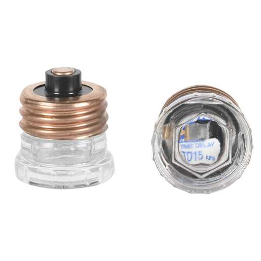 Time Delay Fuse 15 A Pkg/2