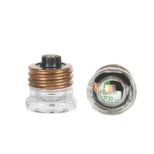 Fuse Plug 30 A Pkg/2