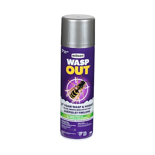 Wasp Out and Hornet Killer 450 g