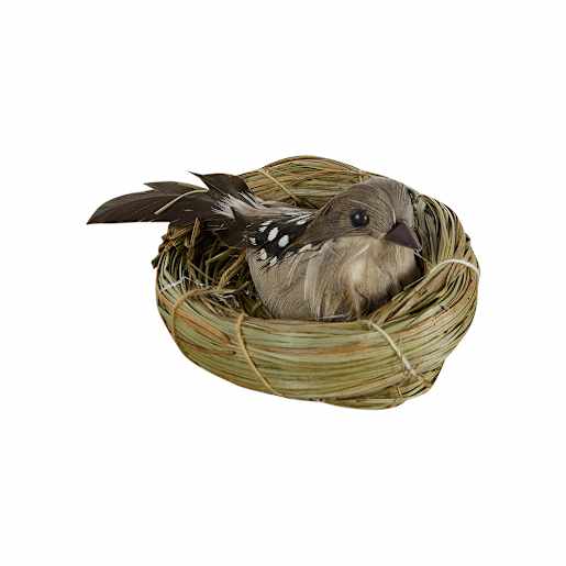 Oiseau avec nid à pince VERTUO