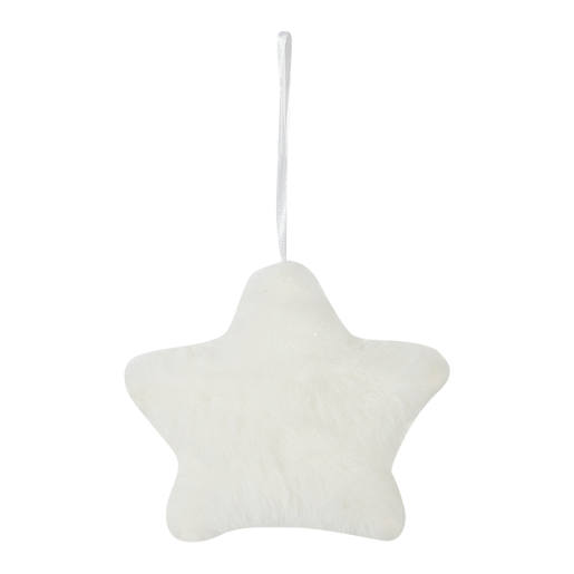 Star Ornament 4 in.