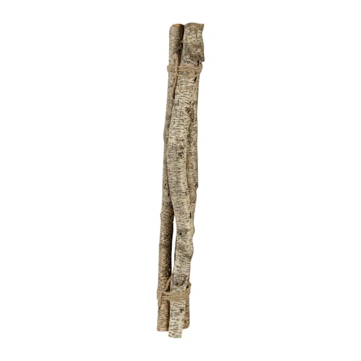 Birch Branches 27 1/2 in. Set/3
