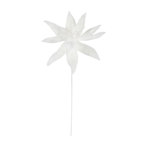 PIC POINSETTIA FOURRURE BLANC
