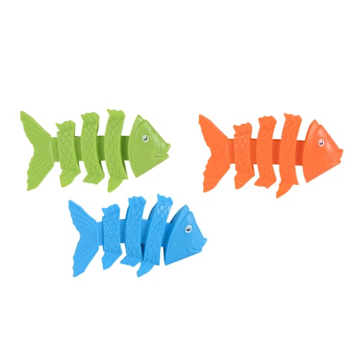 Poissons de plongée Ens/3