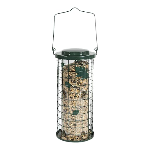 Mangeoire pour oiseaux anti-écureuils 13 po