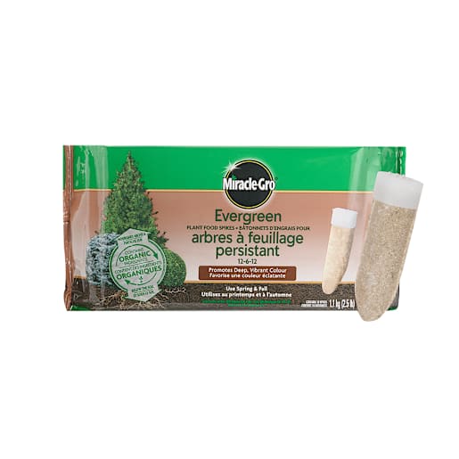 Miracle-Gro Evergreen Fertilizer 12-6-12