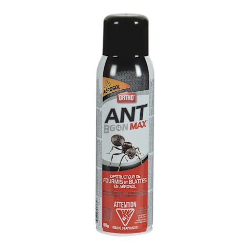 Destructeur de fourmis Ant B gon Max 400 g