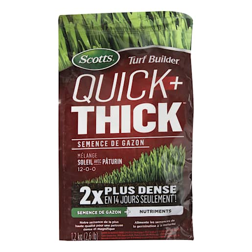 Sunny Bluegrass Mix Grass Seed 1.2 kg