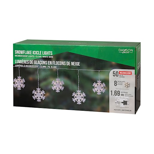 50 LED Garland Light Clear