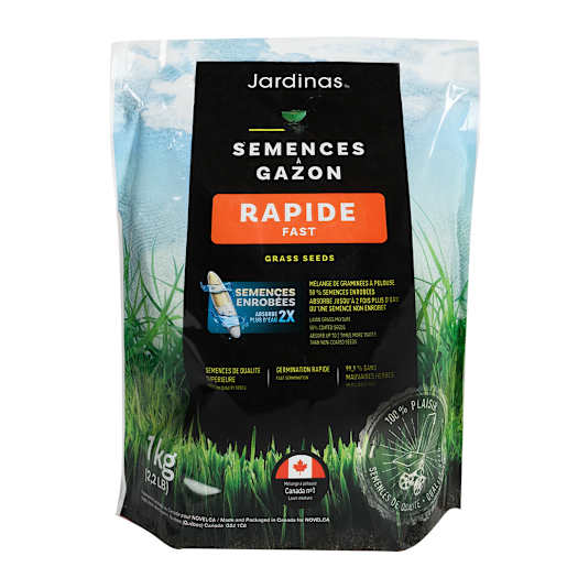 Semences à gazon croissance rapide 1 kg