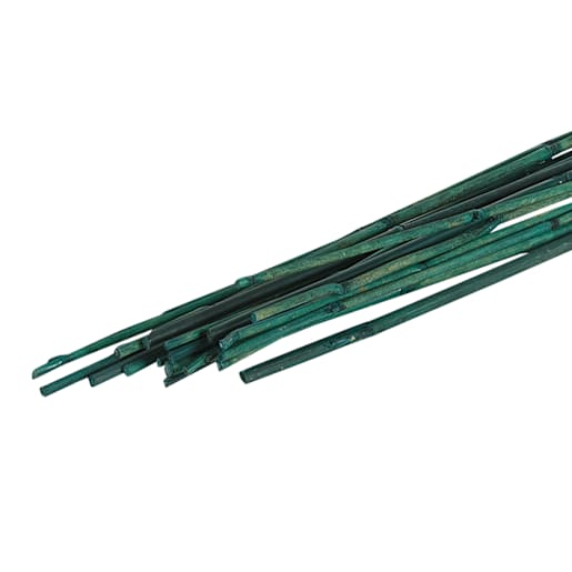Bamboo Stakes 48 in. Pkg/20