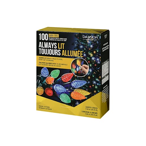 Jeu de 100 lumières DEL C6 Multicolores