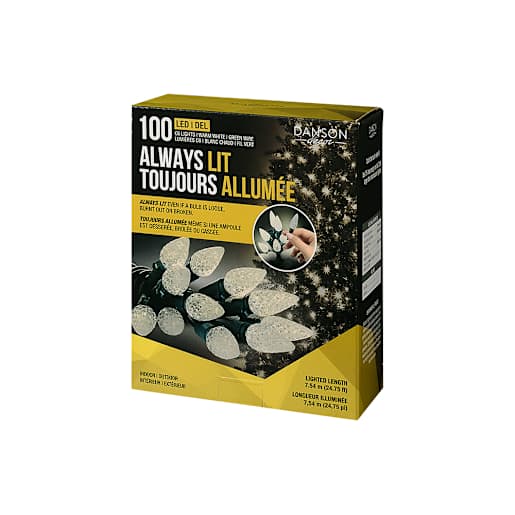 Jeu de 100 lumières DEL C6 Blanc chaud