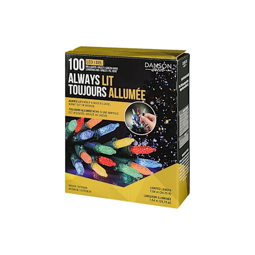 Jeu de 100 lumières DEL M5 multicolore