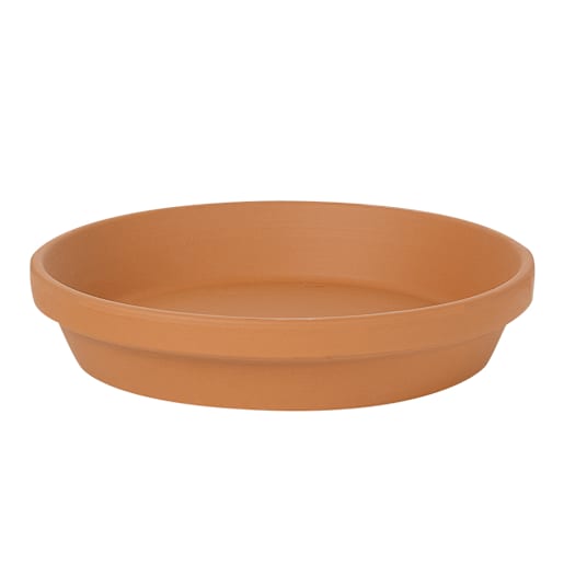 Spang Saucer 9 7/8 in.