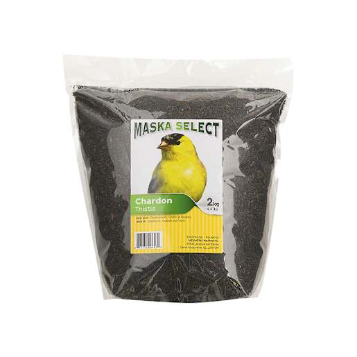 Graines de chardon noir 2 kg