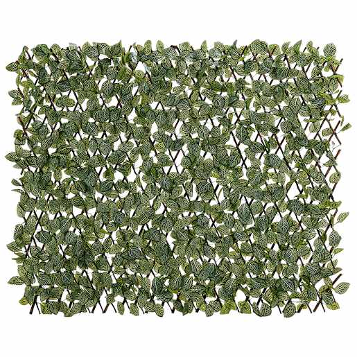 VERTUO Extensible Foliage Lattice Fittonia 39 in. x 79 in.