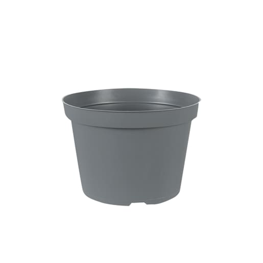 VERTUO Flower Pot 4 in. Anthracite