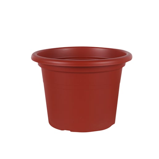 Cilindro Flower Pot 9 7/8 in.