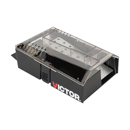 Catch & Hold Mouse Trap