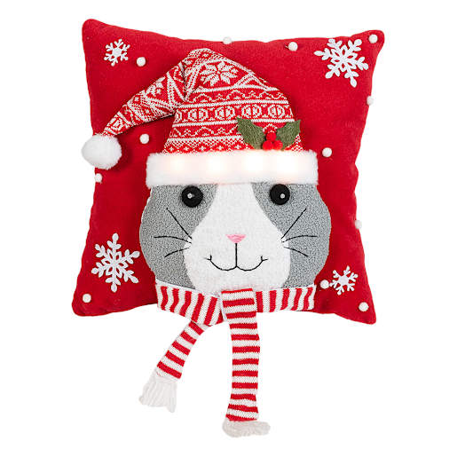 Coussin lumineux chat 16 po x 16 po VERTUO
