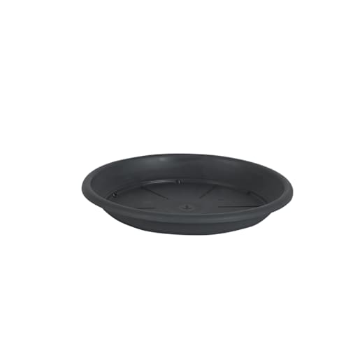 Cilindro Saucer 8 5/8 in.