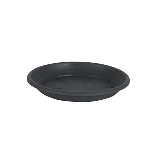 Cilindro Saucer 10 1/4 in.
