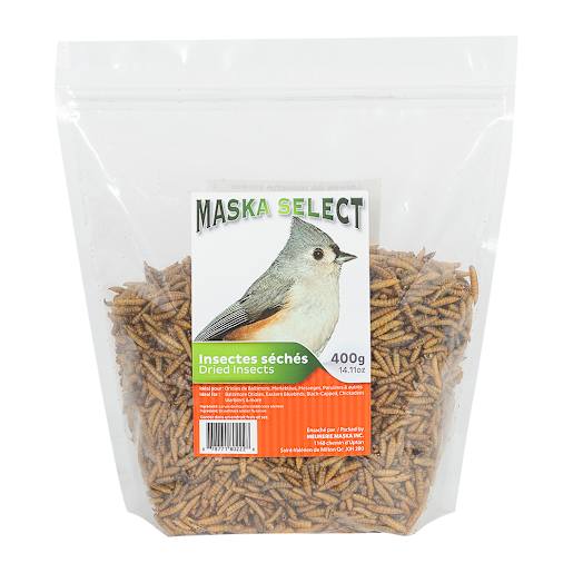 Asticots pour oiseaux sauvages 400 g