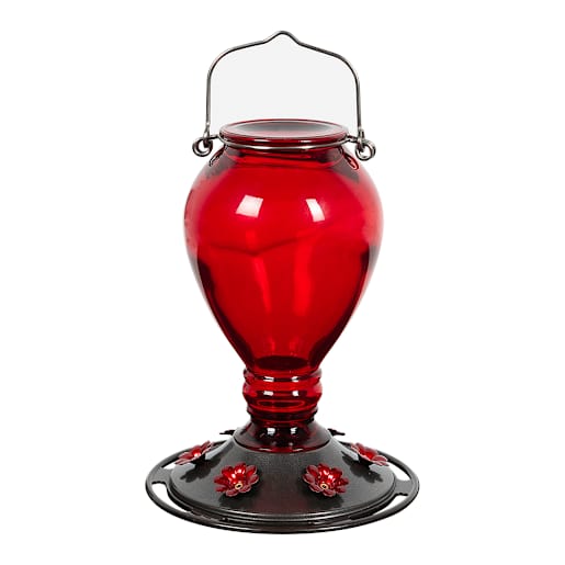 Glass Hummingbird Feeder 24 oz