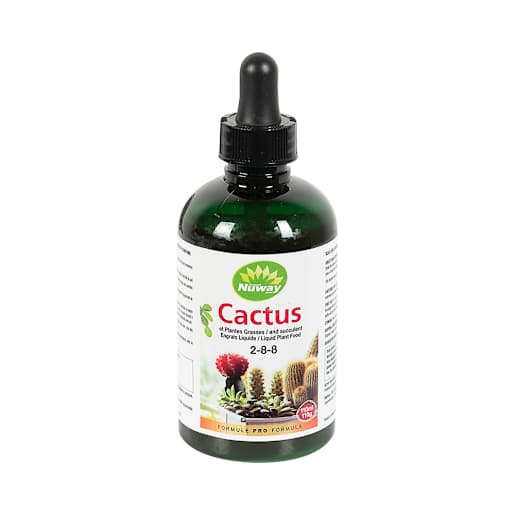 Cactus Fertilizer Concentrated Formula 110 ml