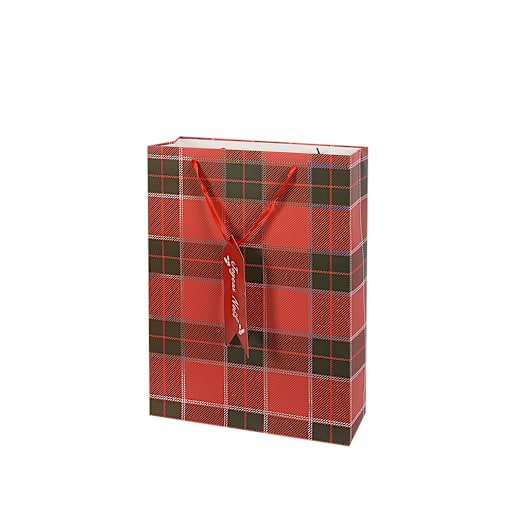 Sac cadeau de Noël moyen VERTUO