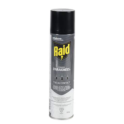 Insecticide pour araignées Raid 350 g