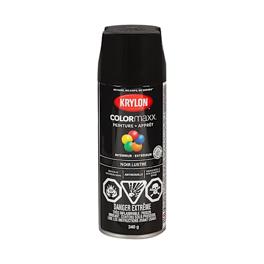 Colormaxx Paint & Primer Gloss Black 340 g