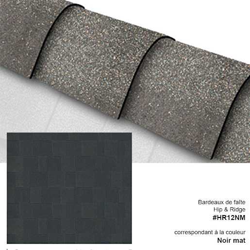 Hip & Ridge 12 Cap Shingles Matte Black