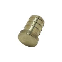 Bouchon Poly PEX 1/2 po