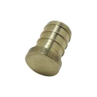 Bouchon Poly PEX 3/4 po