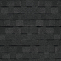 Bardeau d'asphalte BP Dynasty noir granit
