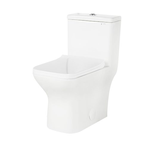 Toilette carrée monobloc à double chasse Paloma 4 L/6 L blanc TASSILI SUPRA