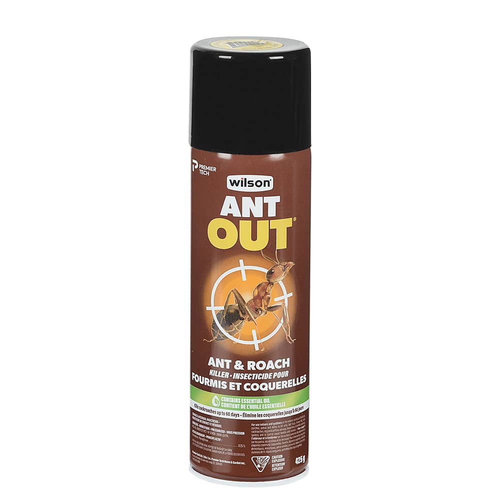 Insecticide pour fourmis blattes et insectes rampants Ant Out 425&nbsp;g