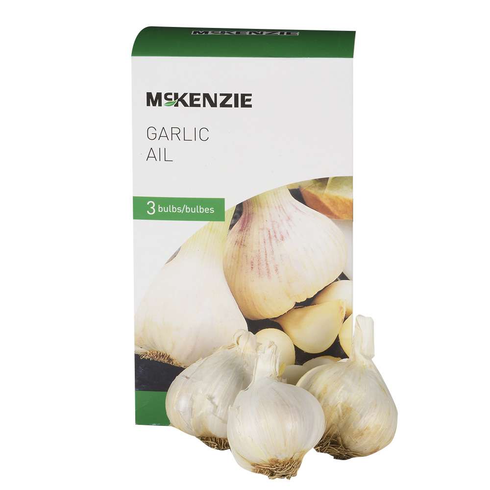 Garlic Bulbs Pkg/3