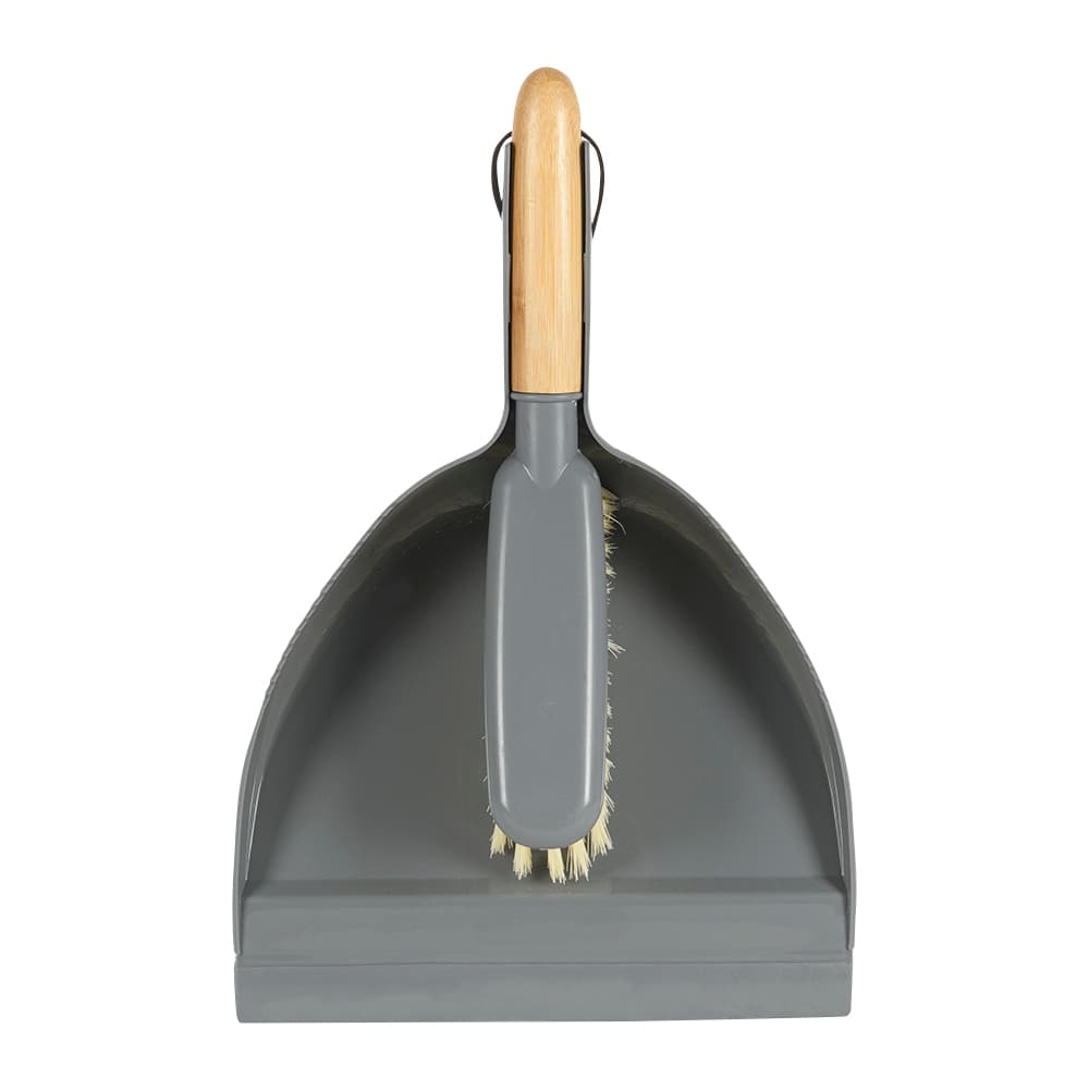 Brosse et porte-poussière