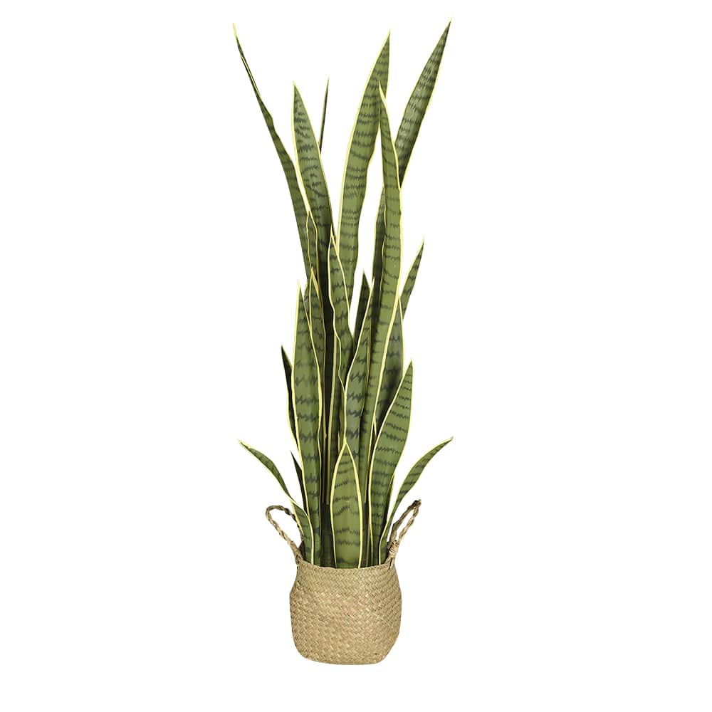 Plante artificielle Sansevieria avec panier en fibre naturel VERTUO