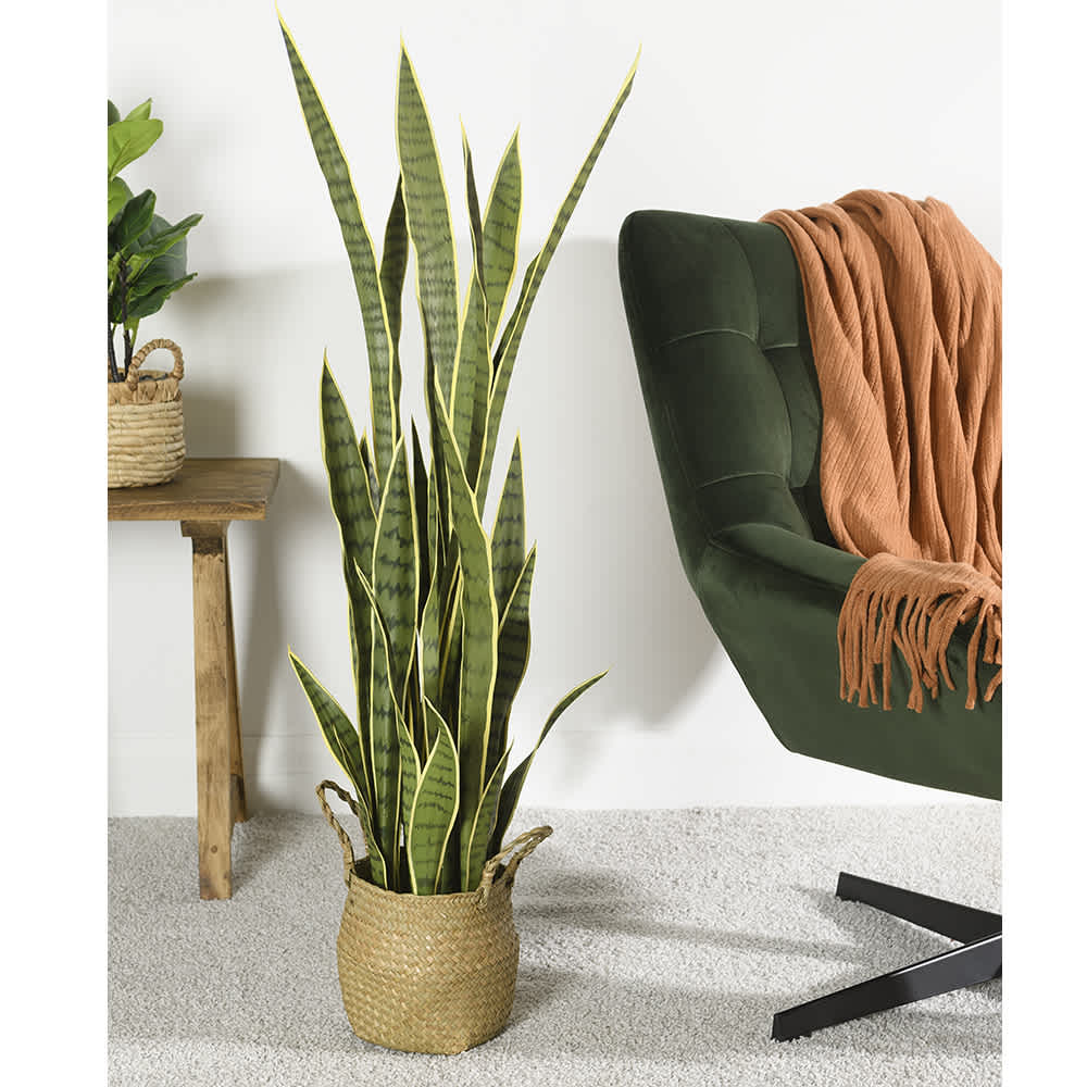 Plante artificielle Sansevieria avec panier en fibre naturel VERTUO