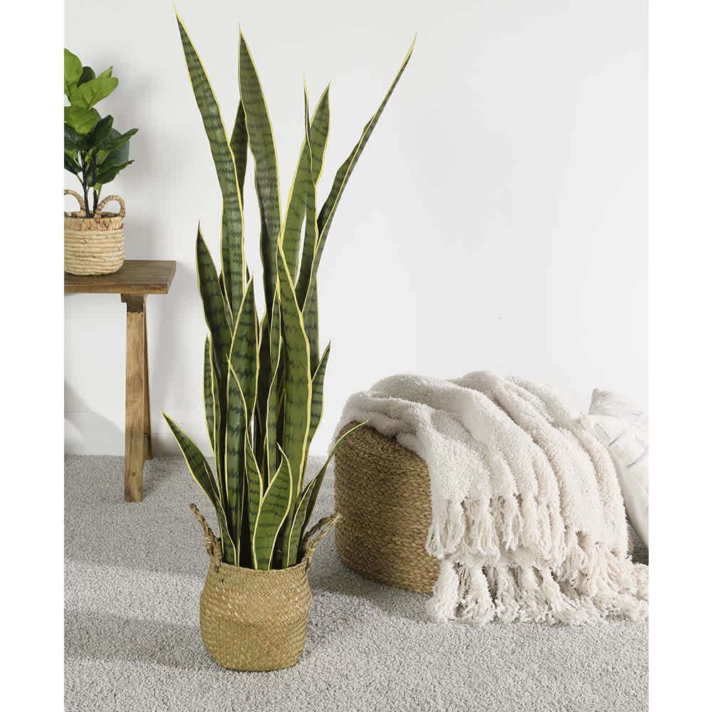 Plante artificielle Sansevieria avec panier en fibre naturel VERTUO