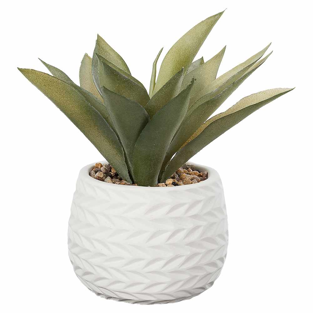 Plante artificielle succulente avec pot en ciment blanc VERTUO