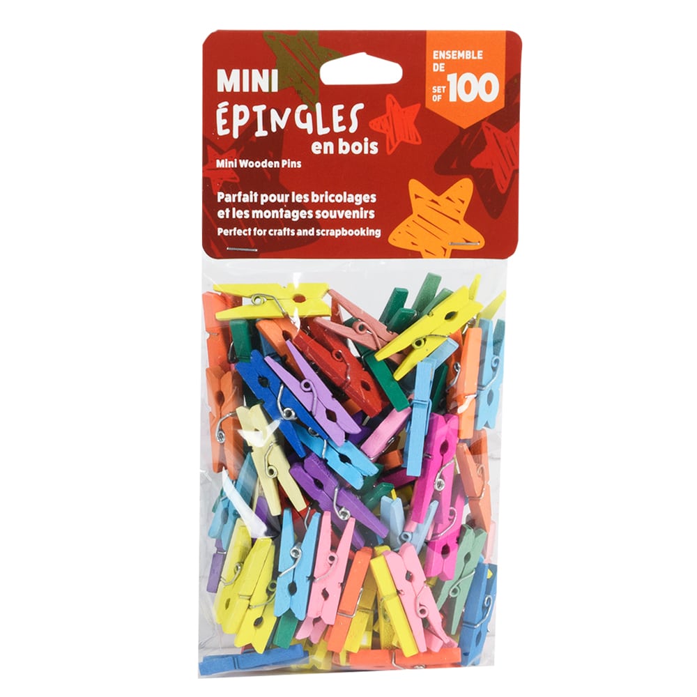 Ensemble de 100 mini épingles en bois