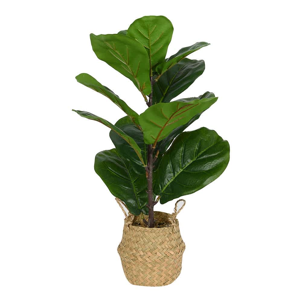 Plante artificielle Ficus avec pot en rotin ASTELLA