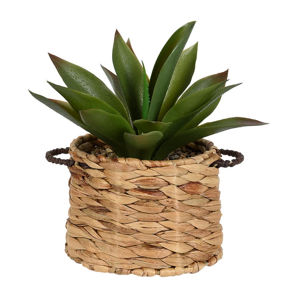 Plante artificielle Areca avec pot en rotin ASTELLA